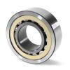 SL182919 INA Cylindrical Roller Bearing