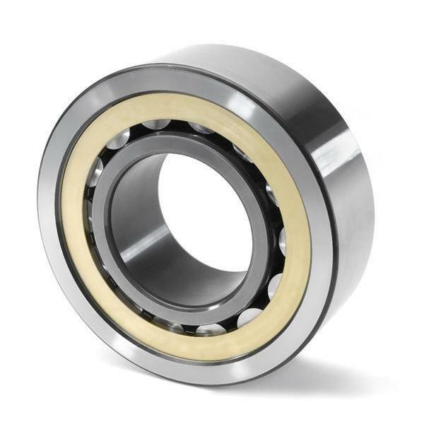 SL182919 INA Cylindrical Roller Bearing #1 image
