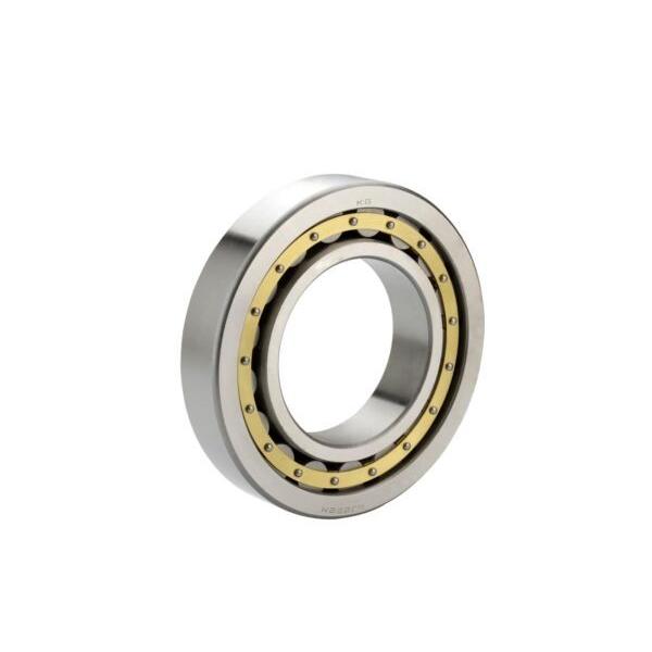 SL045004-PP-2NR INA Cylindrical Roller Bearing #1 image